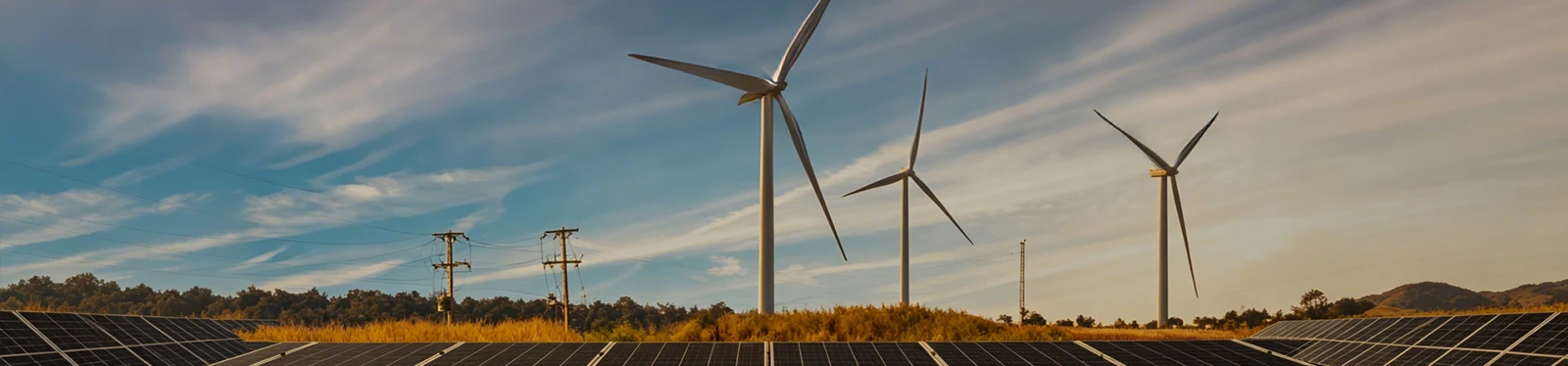 Sustainable Development